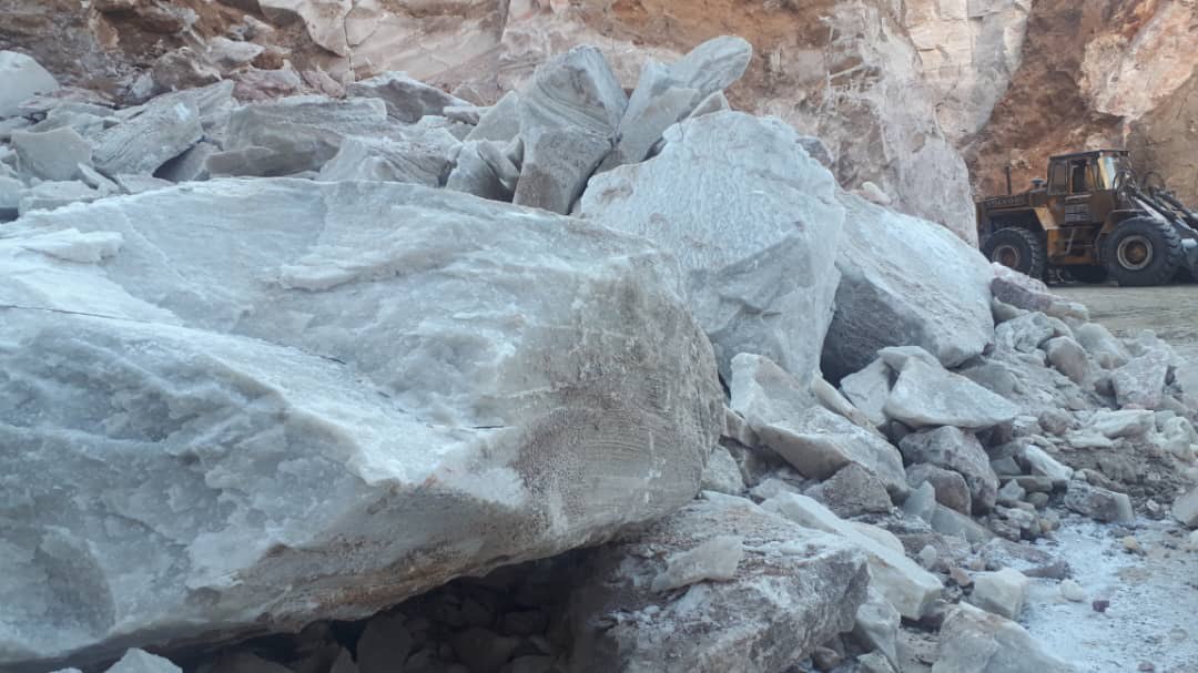 photo_5863960983314219000_y (1)